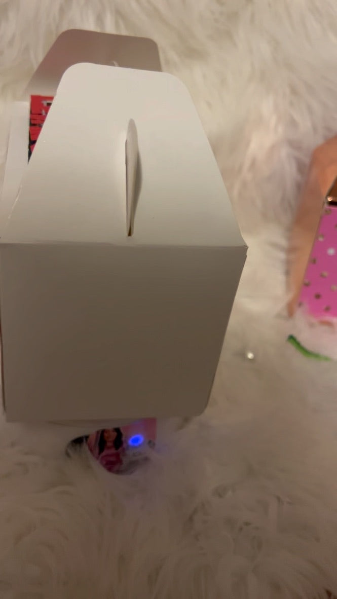 Custom favor/treat/ Gable boxes